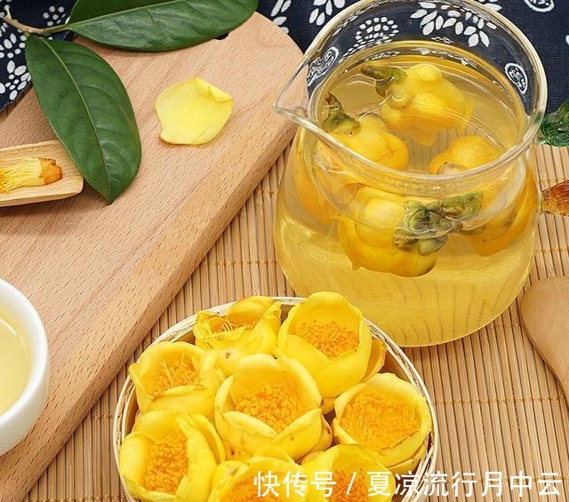 花朵|此茶花被誉为“植物黄金”，花瓣金黄，营养丰富，观赏食用两不误！