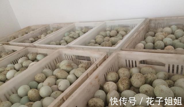 超市买鸭蛋，白壳和青壳的有差别吗超市导购员不懂别乱买！