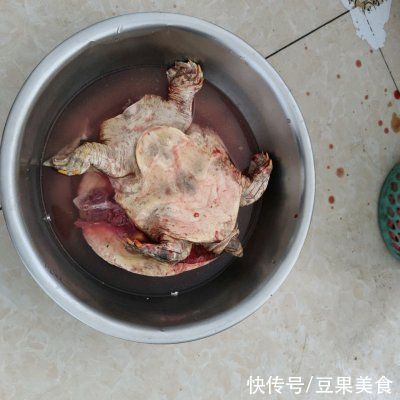  这么美味的红焖甲鱼都没吃过？你的人生不完整