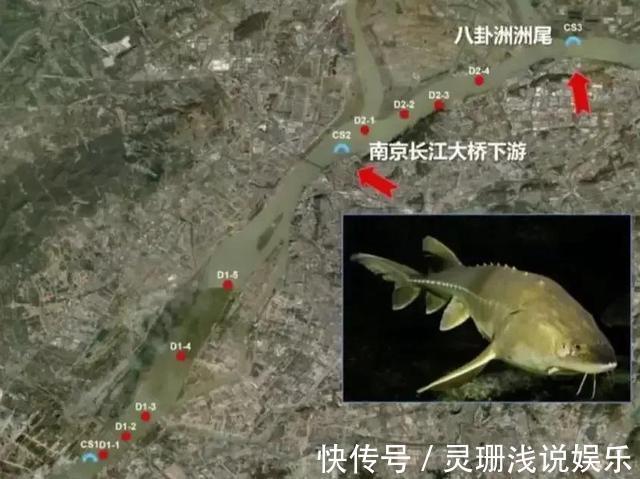 没收渔具并处罚!重庆男子尴尬渔获引争议,禁钓是否该严行?