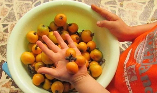 教训|医生劝诫：此物不给孩子吃，发育慢出牙晚，别当坏毛病，都是教训