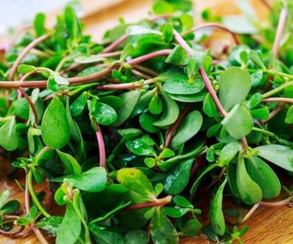 滋润|女性想要身体好,不妨多吃3种食物,营养丰富,滋润身体!