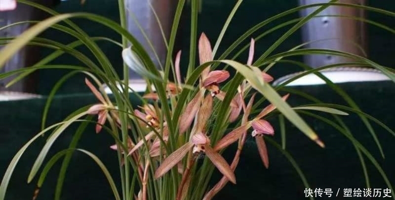 成全|郑板桥信手拈来的一首诗,题写在自己画作上,成全了兰花的美名!