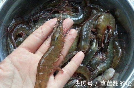 买大虾时，内行人从不买这3种，碰到扭头就走，老板自己从不吃