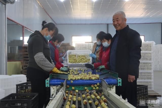 出口包装车|沾化区500吨优质沾化冬枣打包装箱出口美国
