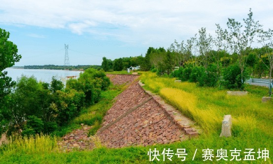 黄河水|清朝决口的黄河大堤，淤泥上建立了村庄，守护大堤如今风景超好