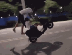 |搞笑GIF二十九期!我当时躲在窗帘后面害怕极了