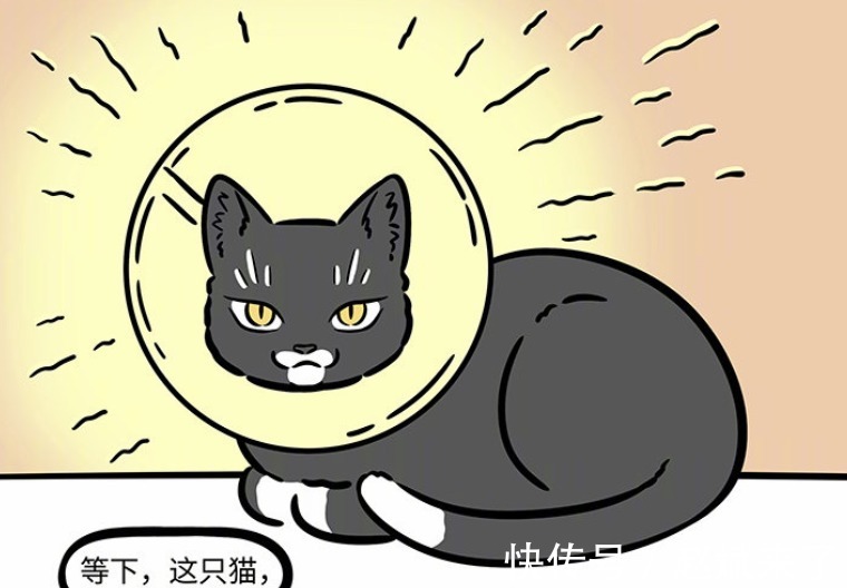 佛性|非人哉：大士为普度众生被绝育，我佛果然慈悲，悟了悟了！