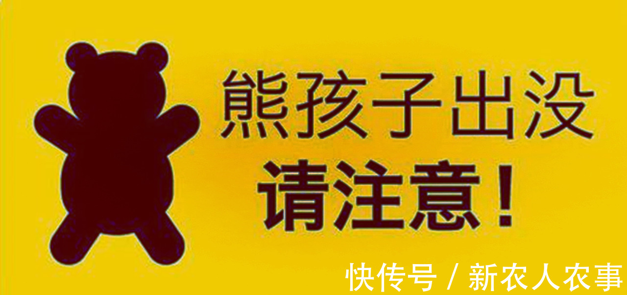 调皮|熊孩子用衣服装回来一包东西，当知道真相那一刻，妈妈瞬间发飙了