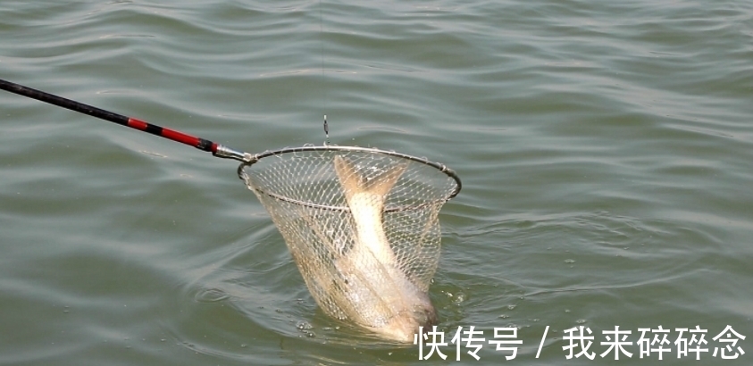 用蚯蚓钓鱼，这样打窝，冬天垂钓也能打窝