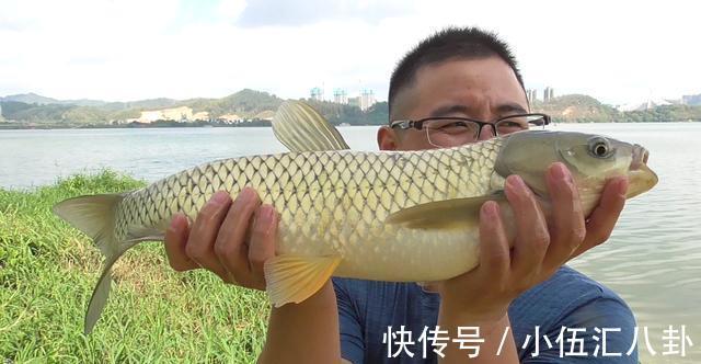 东江|又一大江禁钓，永久且任何形式都不让，可惜了曾经的钓鱼天堂