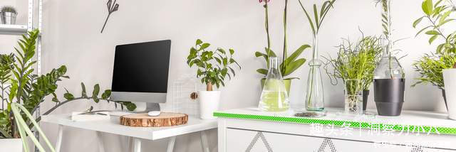 分化|想长寿花多冒苞，土里埋下这“两料”，蹭蹭窜芽，开出层叠群花