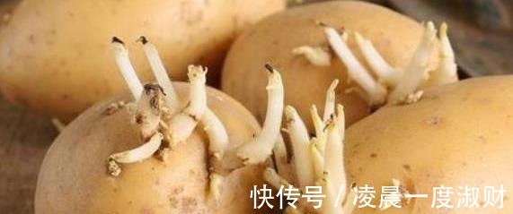 油麦菜|为什么医生建议，尽量少吃这6种蔬菜呢来瞧瞧看