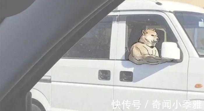 错觉！10个让人产生错觉的照片，被插画家涂抹几笔后，才能看懂