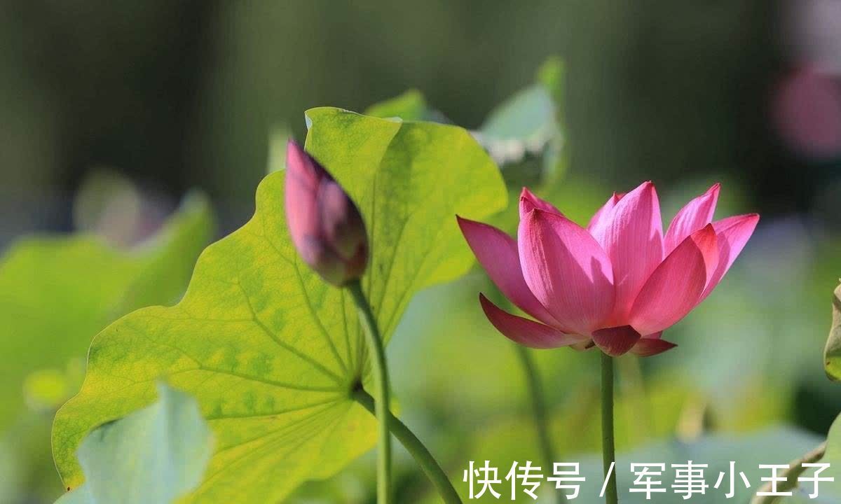 吕坤|为人处世时,有这四个“忌讳”,越早知道越好!