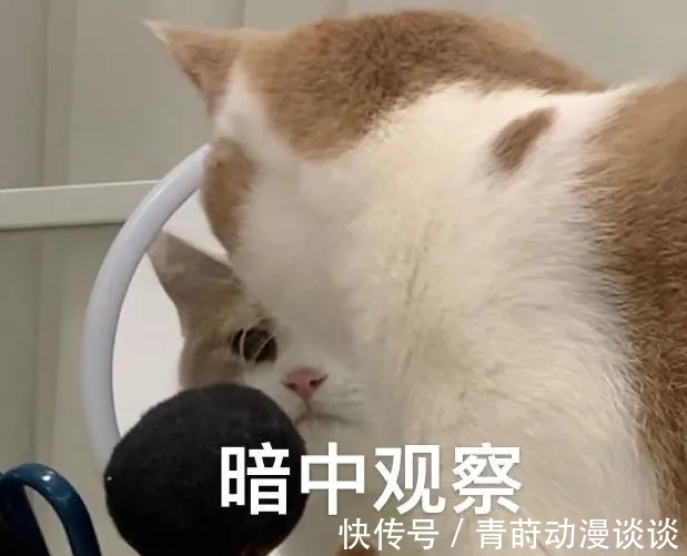 复原者|《登场了！洛阳》即将开播，探索团成员的“复原秀”引观众期待！