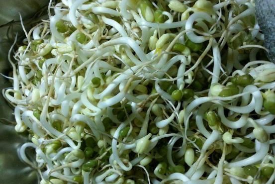 豆芽|一旦患上糖尿病,餐桌上经常吃“4物”,或助血糖慢慢下降