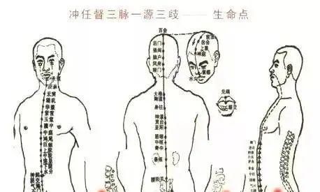  只用|万病的根源：腹部积聚！只用这一招，就能从根解决！