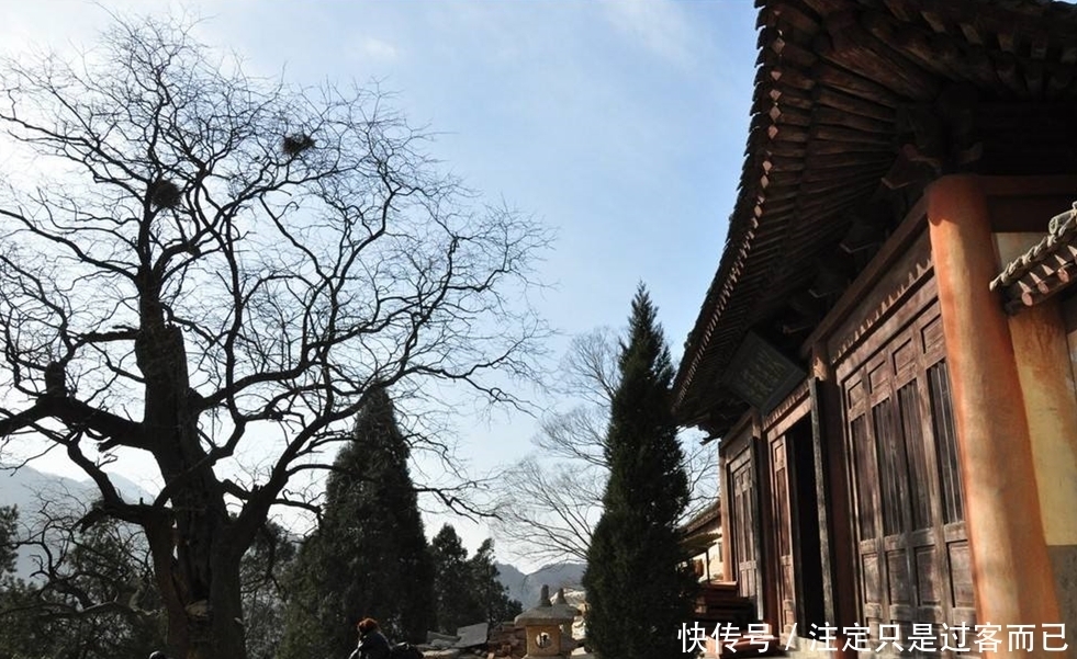 花开|西安附近的还有这样的千年古刹，曲径通幽古香古色，好美！