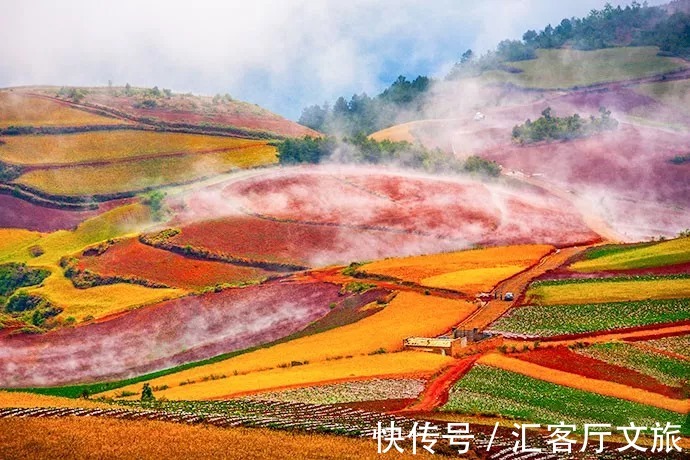 三生三世十里桃花|青丘缘起，荷海芳华，除了荷花，你还能在普者黑看到什么？