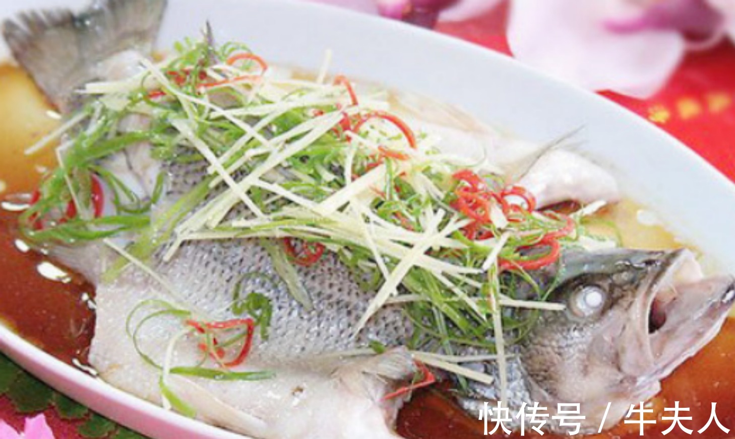 食疗|冬季养生,吃这5种东西,才是最佳食疗解决方案