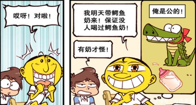 鳄鱼也能产奶？奋豆马桶洗澡真nice，星太奇精神错乱！