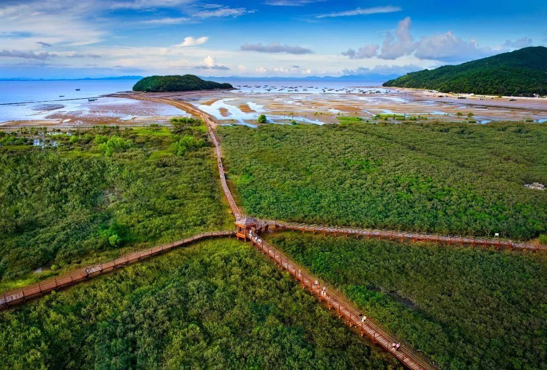 美丽的海陵岛，藏着冬日观鸟天堂