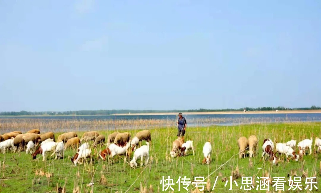 打卡|东海又多了一个“网红”打卡地！