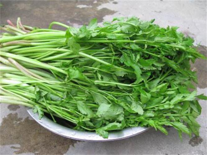 降压|夏季养生得会吃,常吃几种食物,补血降压,增长肌肉,增强体质