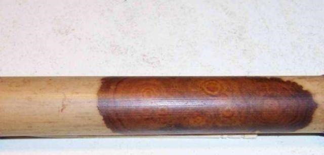 鉴宝|女子拿“牙签”鉴宝,称卖价3,000万,专家看后脸色突变