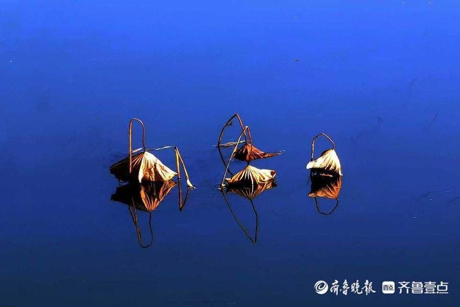 美景美食让你大饱“眼福口福”,恭喜获奖|11月13日最佳情报| 水墨画