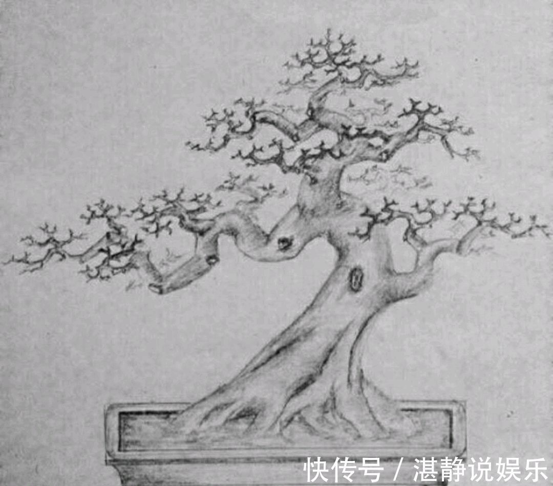 盘扎|只要狠心,没有改造不了的三角梅盆景,看到效果图后太喜欢