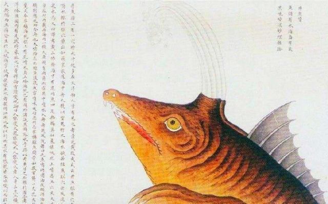 故宫|故宫这本“奇书”,里面9种“奇物”越看越可怕至今还是个谜