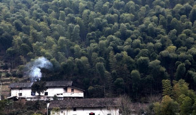 研究|北大教授在研究什么研究成果让人想不到,网友又一个经典语录