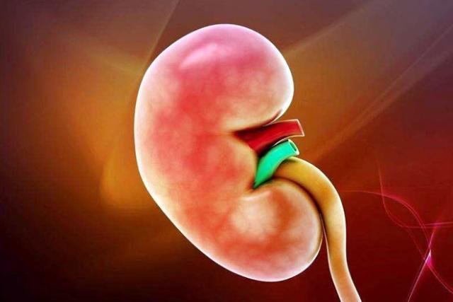 人体|男人肾好，睡前很少做5件事，尤其是第4个