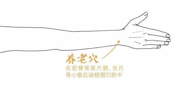 手腕处|手腕有个“养老穴”,专治各种老年病每天坚持按一按,老年病跑光光