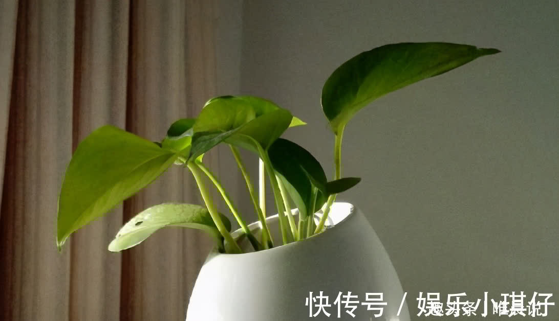 炫耀!不炫耀,是一种智慧