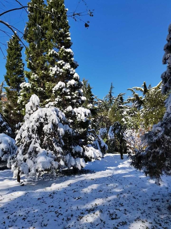 一剪梅?雪情