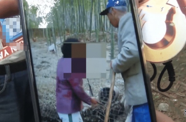 出租|眼红养殖场很赚钱,房东要涨7倍房租,被拒后放走1500只鸡