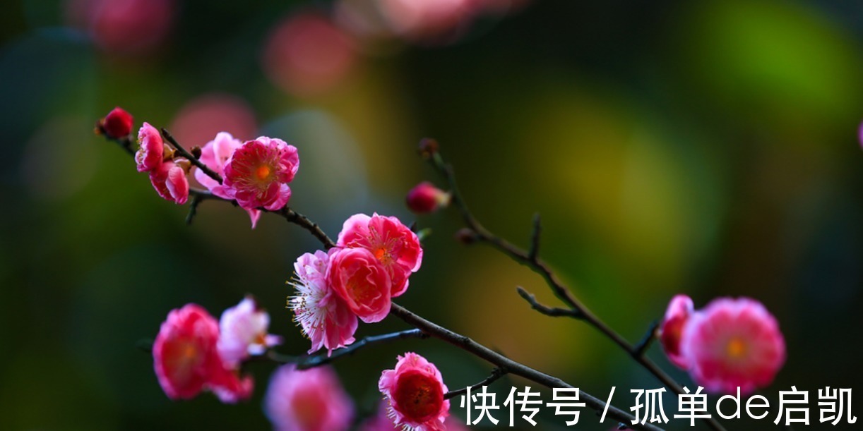 四大名著$唐朝非著名僧人的一首诗,短短28字,就有14字成千古名句