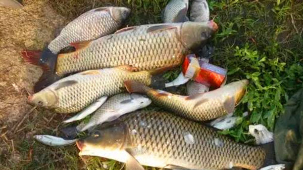 钓鱼技巧观星识鱼,钓鱼人的必修课,熟练掌握渔获倍增