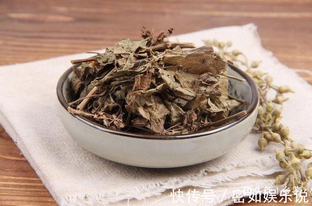 解馋|曾经农村娃摘来解馋，形似木炭却用处大，遇到这种野草请多珍惜