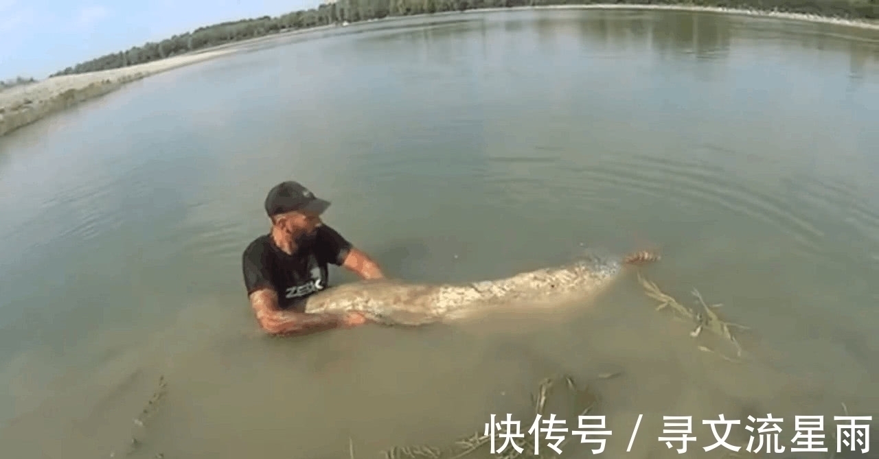 外国男子在河边钓鱼,竟被鱼竿直接拽进了河里,抱上来一瞧发财喽