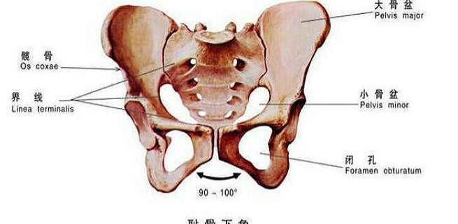 产检|想知道顺产需要多长时间产检B超上的3项数据告诉你答案
