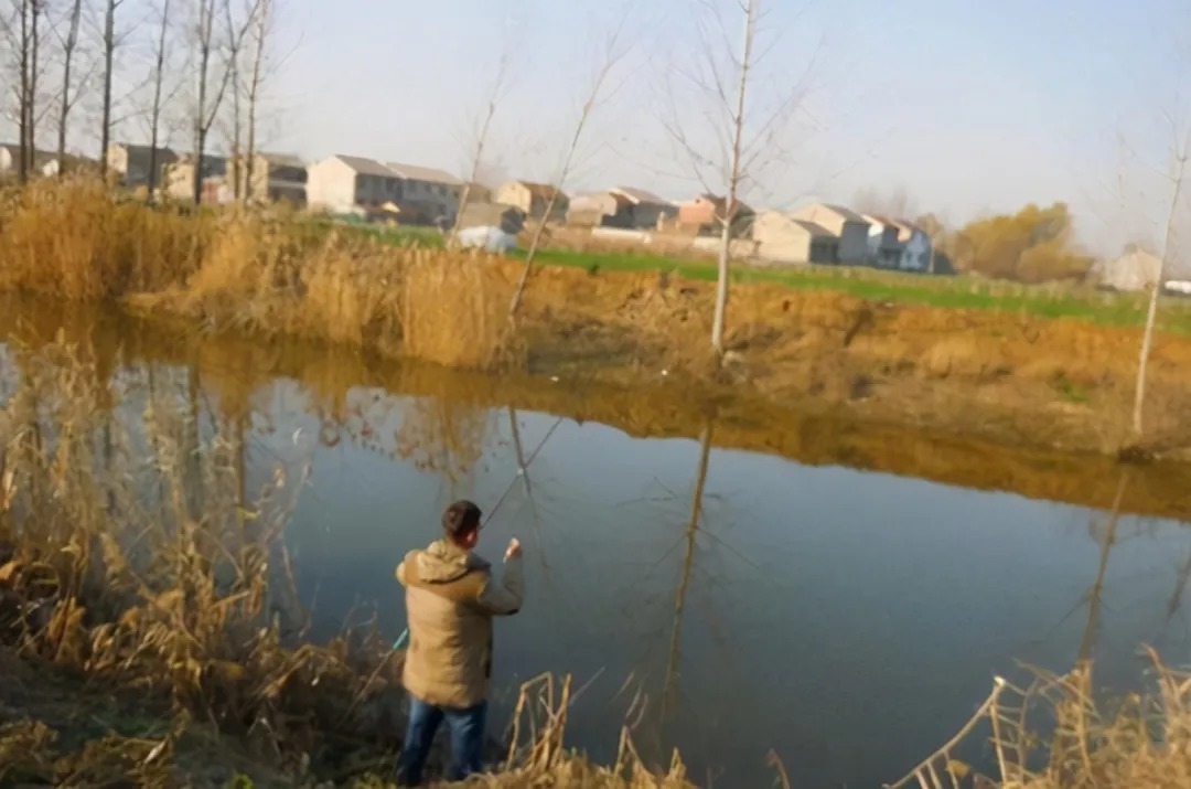 冬钓|冬钓时,大板鲫总是不咬钩?按我说的做,竿竿中鱼不停歇