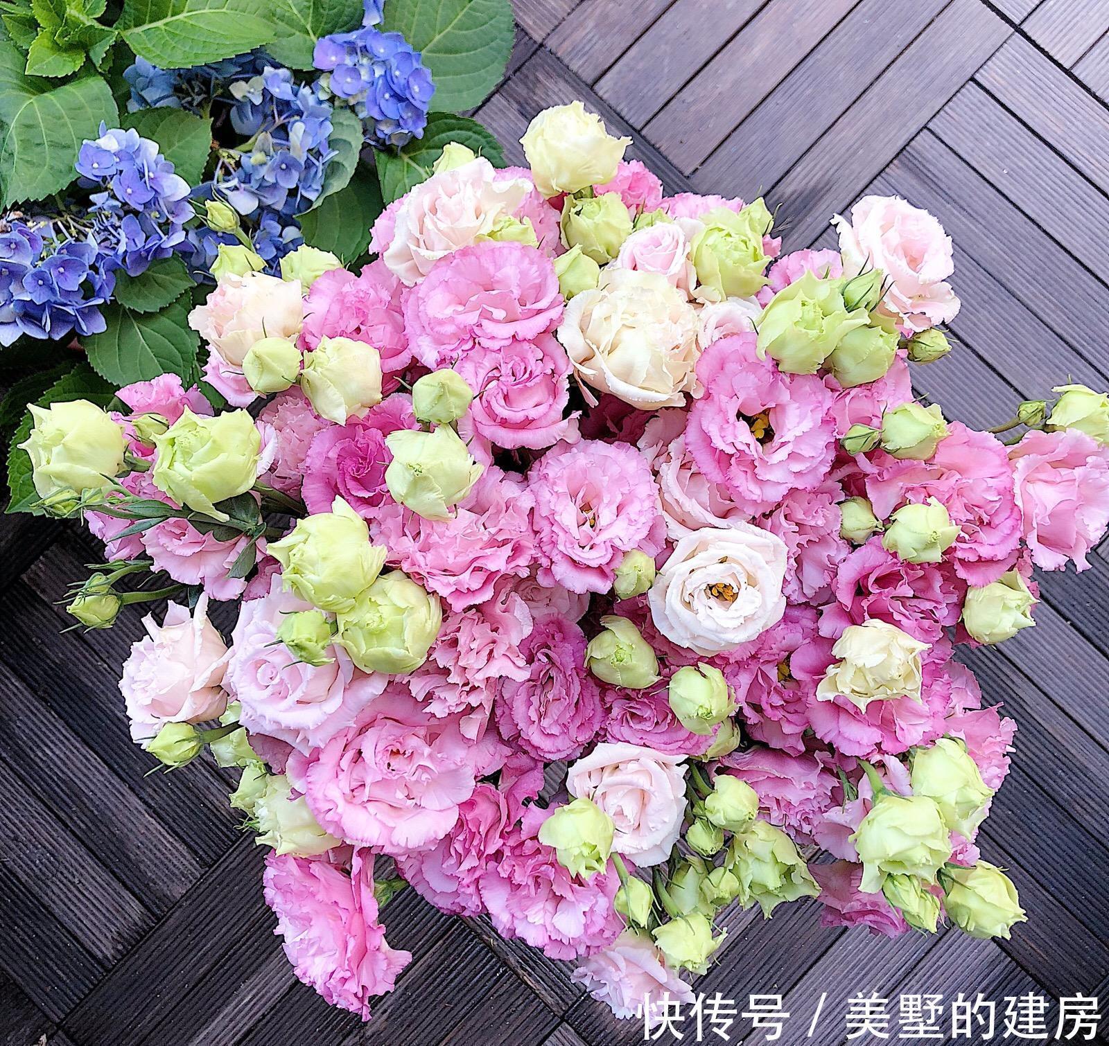 马蹄莲|4种花是婚礼常见花,随便选一种都好看,开了浪漫又唯美