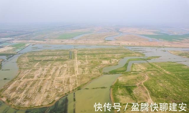 湿地|航拍黄河三角洲，黄河在这里入海，形成了中国最年轻的土地