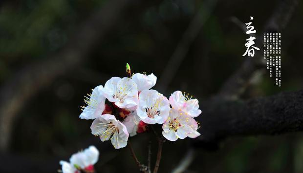 俗语|俗语:“七年难逢九月闰,百年难逢三十春”,知道是什么意思吗?