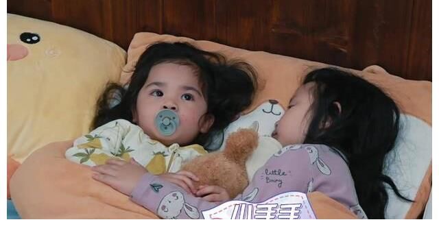 《我的小尾巴》重磅回归,四位萌妹爆火出圈,你更爱“云养”谁?