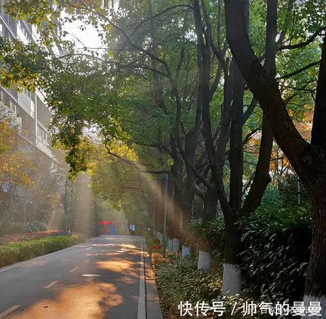 地段|楼市拐点来了,什么房子将变得“吃香”,好出手能增值